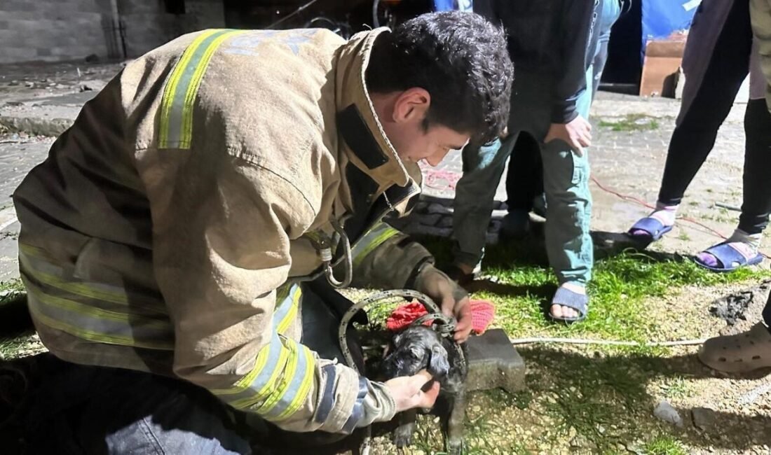 Hatay’ın Antakya ilçesinde 17 metre derinliğindeki sondaj kuyusuna düşen yavru