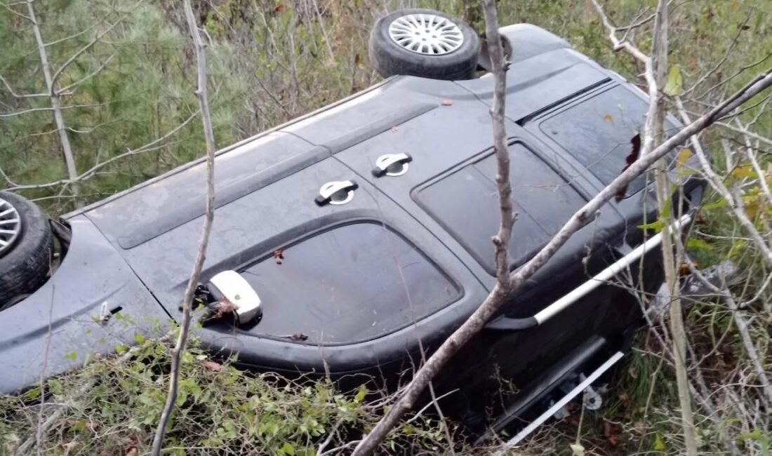 Hatay’da ağaçlık alana devrilen hafif ticari aracın sürücüsü yaralandı. Kaza,