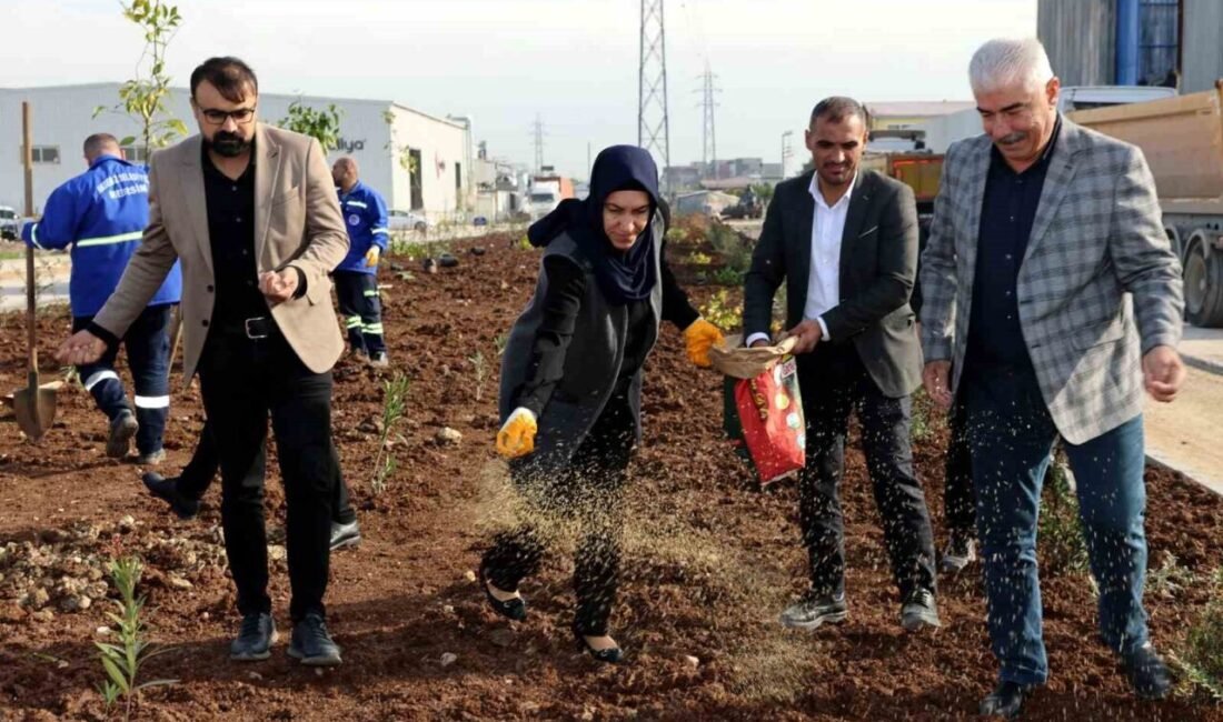Mersin’in merkez ilçe Akdeniz Belediyesi, daha yeşil bir kent oluşturmak,