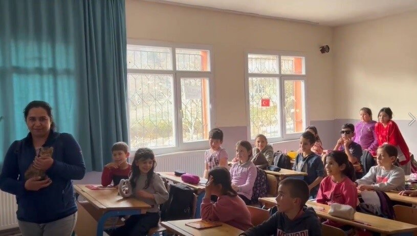Osmaniye’de okulda öğretmen ve öğrencilerin birlikte baktığı “Kraker” isimli kedi