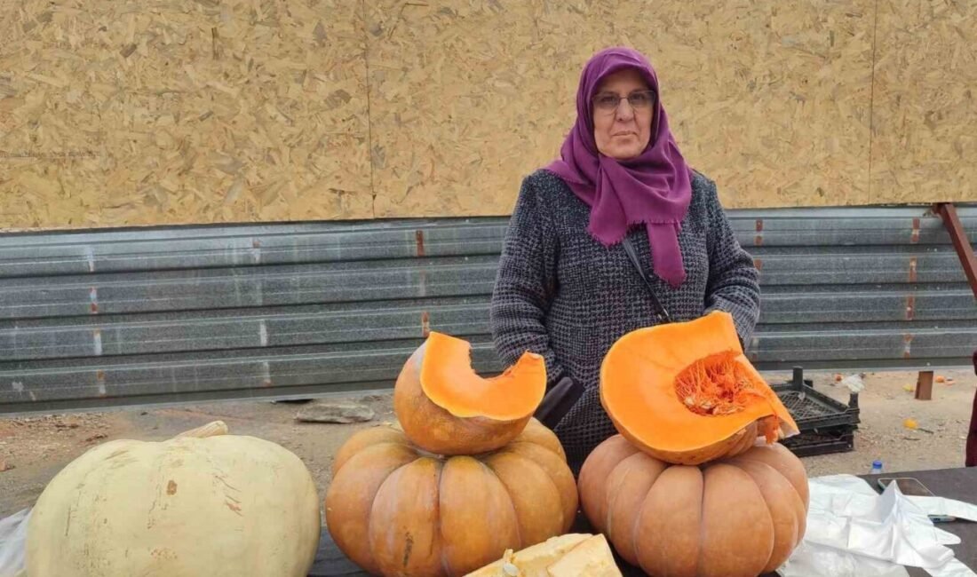 Kahramanmaraş’ta esnaf kadın, kendi bahçesinde ürettiği balkabaklarını satarak geçimini sağlıyor.