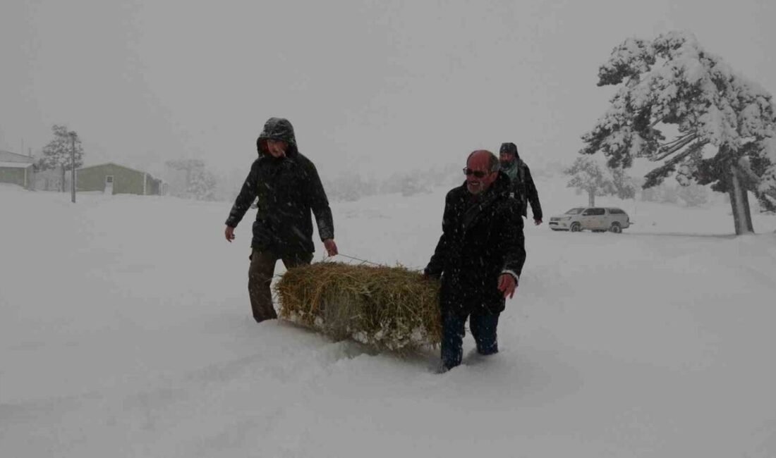 Burdur’da yoğun kar yağışının etkili olduğu ve kar kalınlığının yarım