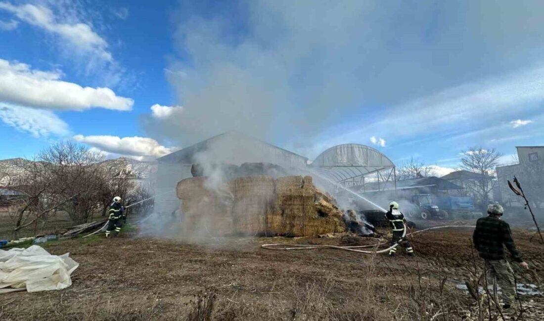 Burdur’un Bucak ilçesinde çıkan yangında 80 adet büyük balya yanarak
