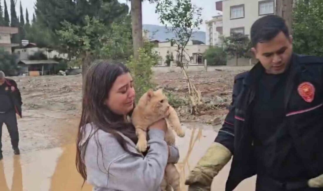 Adana’nın Kozan ilçesinde çıktığı ağaçta mahsur kalan kedi İtfaiye ve