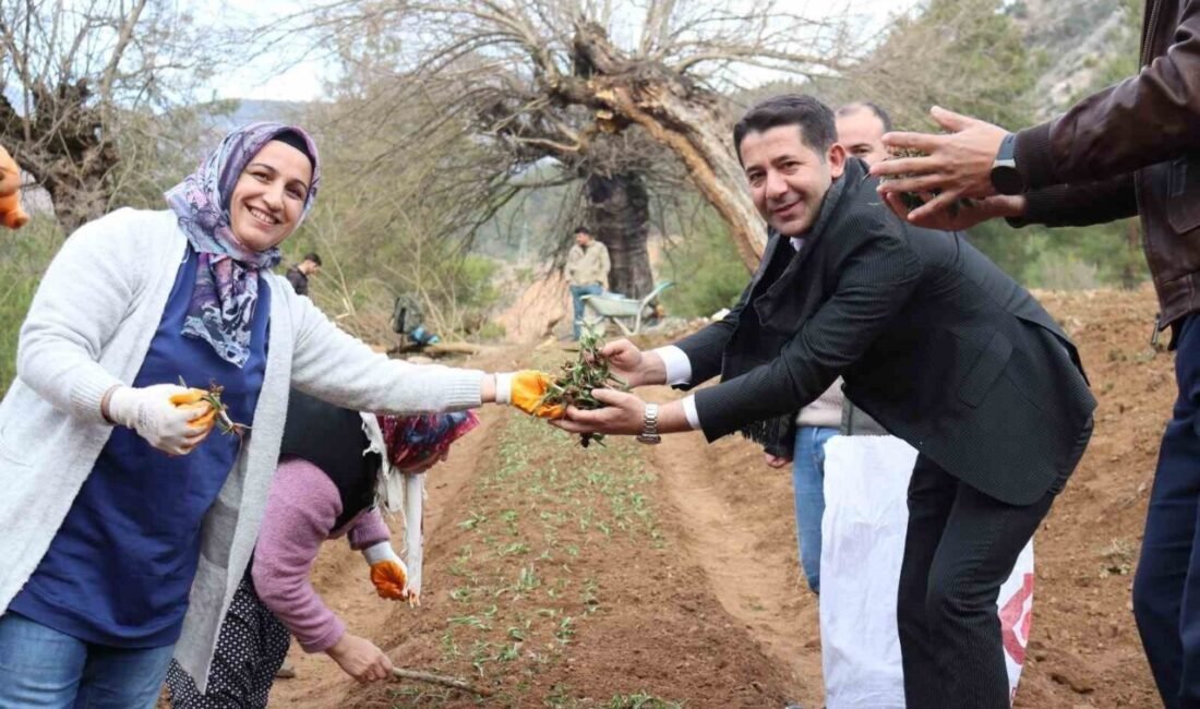 ADANA (İHA) – Adana’nın doğal endemik bitki çeşitliliği ile gözde