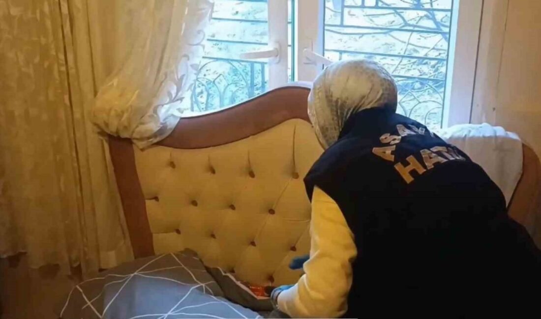 Hatay’da tehdit ve genel güvenliğin kasten tehlikeye sokulması olayıyla ilgili