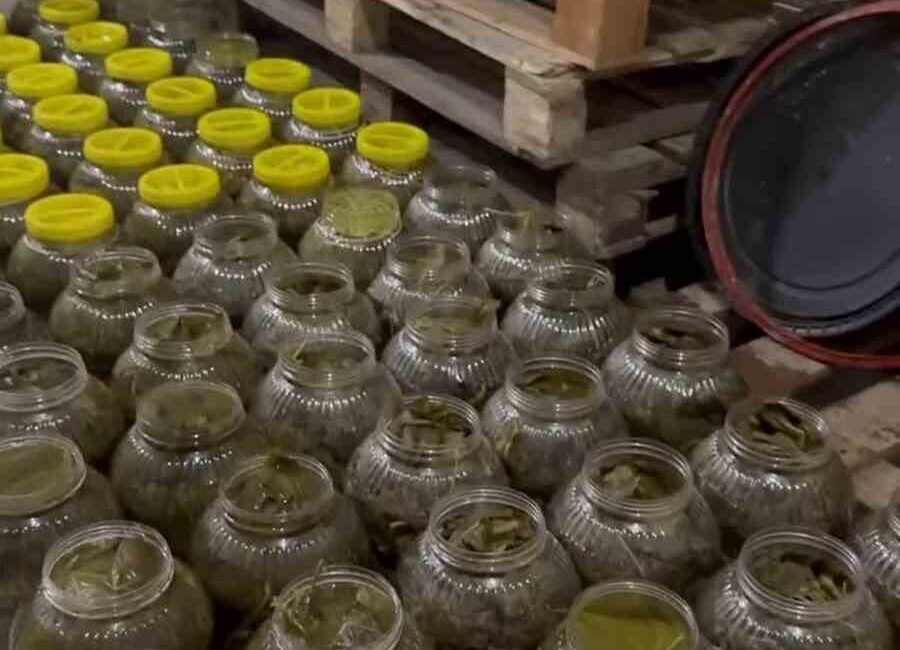 Hatay’ın Reyhanlı ilçesinde hijyen şartlarına uygun olmayan yaprak başta olmak