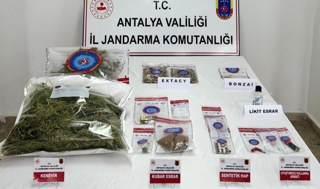 Antalya’nın Gazipaşa ilçesinde jandarma tarafnıdan yapılan uyuşturucu operasyonunda 13 kök