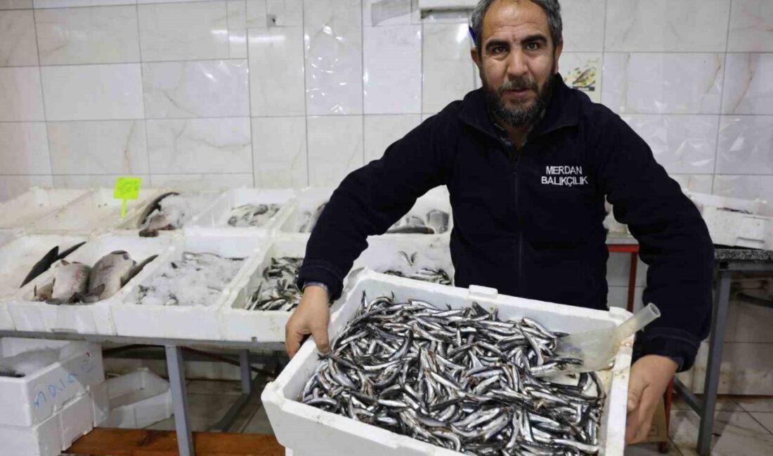 Kahramanmaraş denize kıyısı olmamasına rağmen, tatlı su balığı üretiminde Türkiye’nin