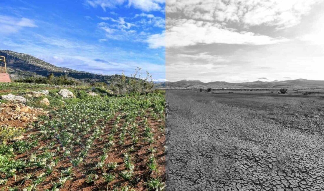 Mersin Büyükşehir Belediyesi tarafından ’Mersin Sürdürülebilir Enerji ve İklim Eylem