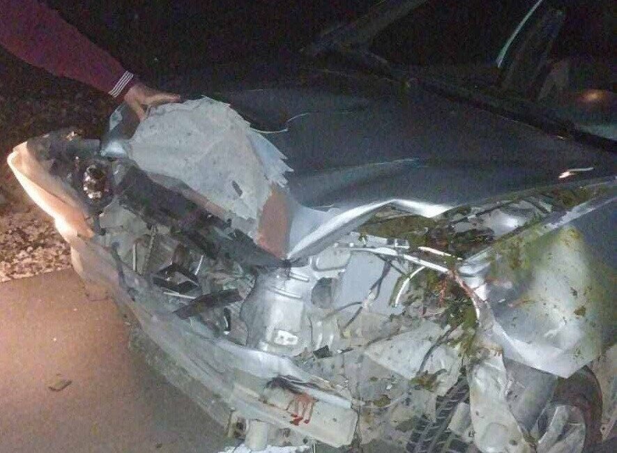 Mersin’in Erdemli ilçesinde sürüye çarpan araç, 4 hayvanın telef olmasına