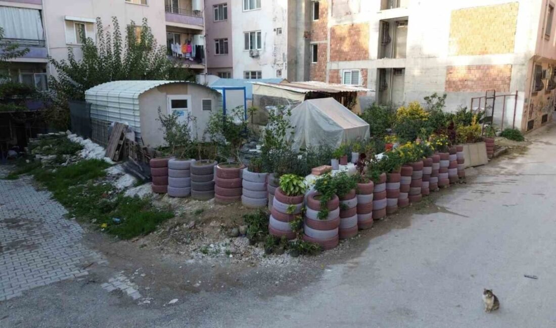 Hatay’ın Defne ilçesinde yaşayan ve sokaklardan topladığı atık lastikleri çiçek