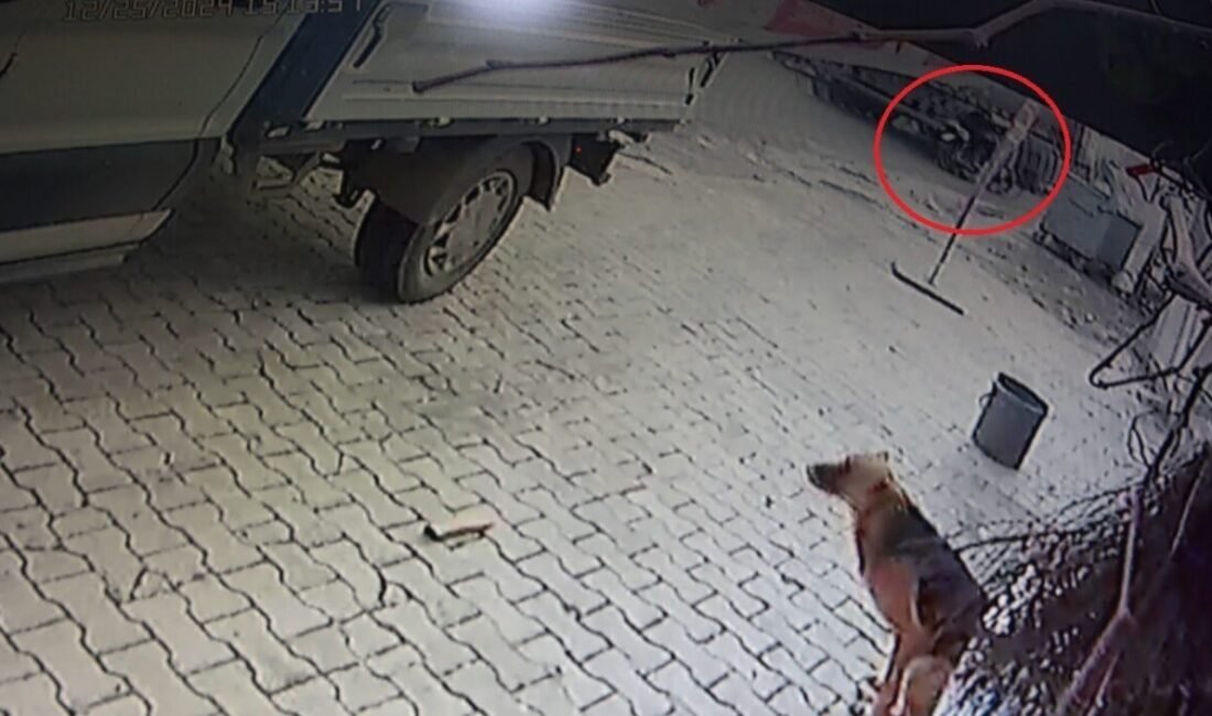 Hatay’ın Reyhanlı ilçesinde ilaç almak için evden çıkan 84 yaşındaki