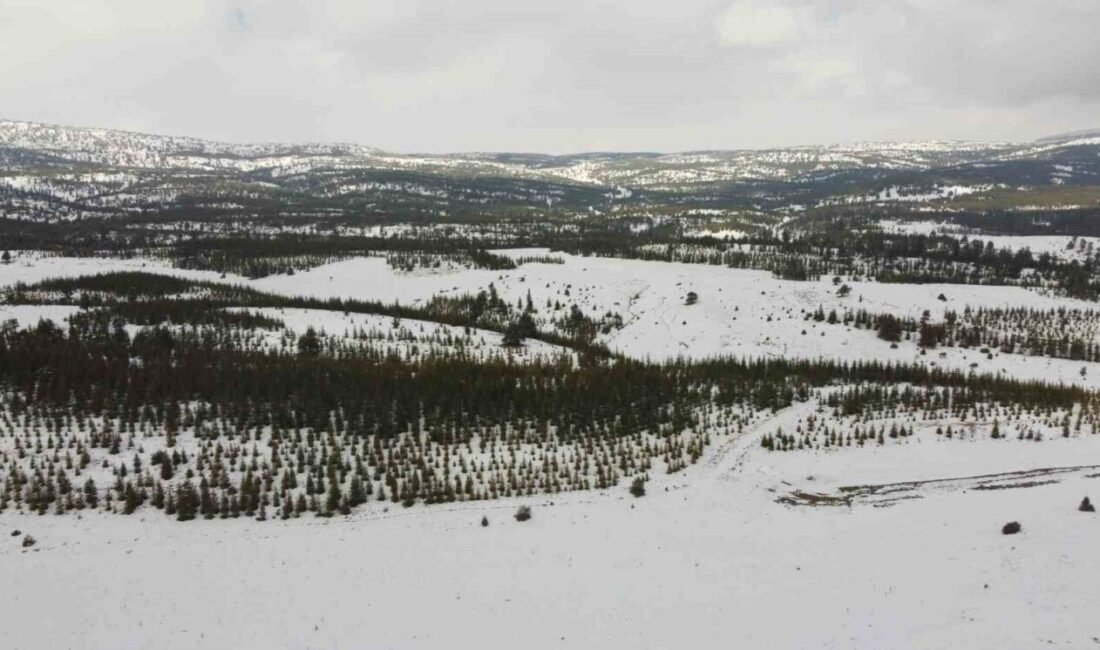 Türkiye’nin önemli tatil merkezlerinden sahil kenti Mersin’de Toroslar karla kaplanırken