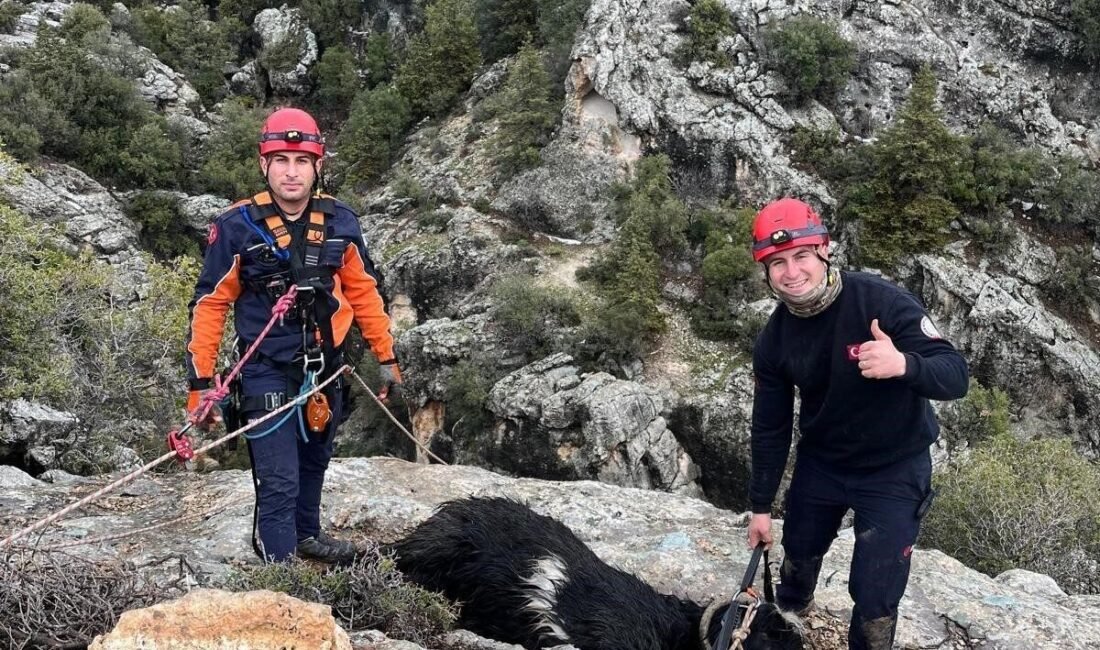 Mersin’in Silifke ilçesinde 30 metre derinlikteki uçurumda 6 gündür mahsur