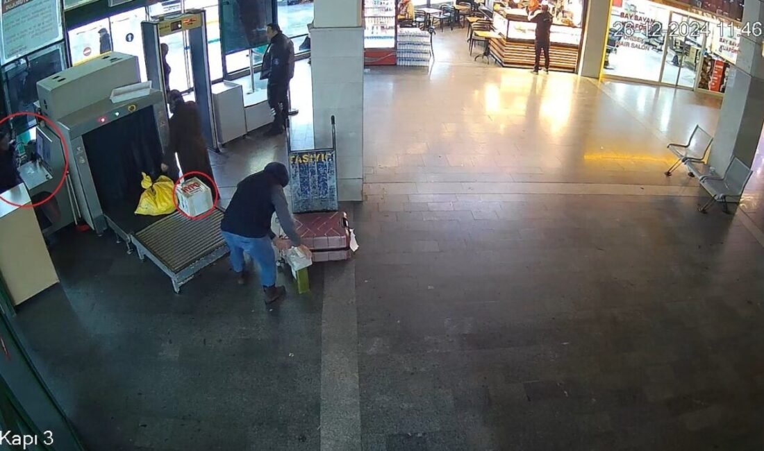 Antalya şehirlerarası otobüs terminaline Ankara’dan gönderilen bir kolinin içerisindeki ‘Rhesus’