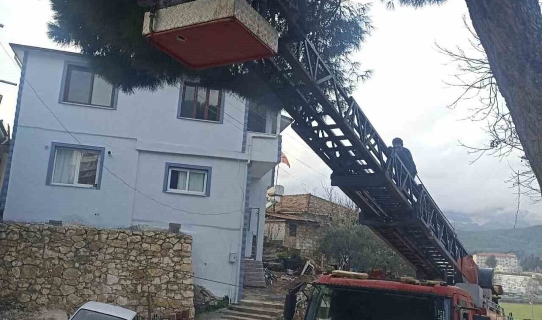 Hatay’da ağaçta mahsur kalan kedi itfaiye ekipleri tarafından merdivenle kurtarıldı.