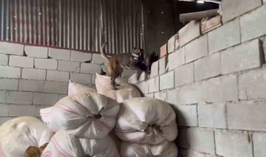 Hatay’da 7 ayrı adrese yapılan operasyonda uyuşturucu üretim merkezi olarak