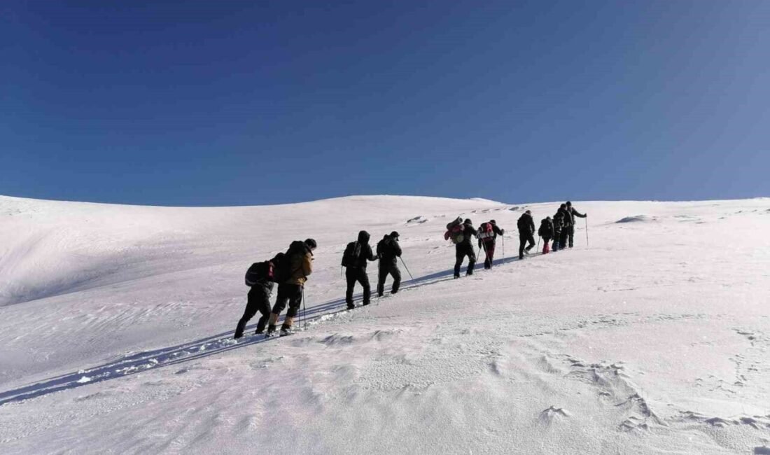 HATAY (İHA) – Hatay’ın Hassa ilçesinde bulunan 2 bin 240