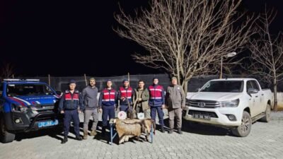 Isparta’da, Kovada Gölü Milli Parkı’nda yasa dışı yaban keçisi avlayan
