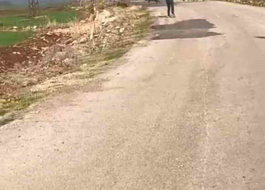 Hatay’ın Kırıkhan ilçesinde domuz sürüsüyle karşılaşan acemi avcı, hedefi tutturamayınca