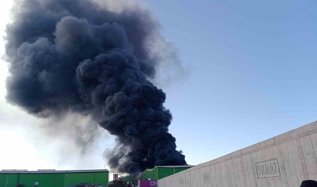 Adana’da geri dönüşüm fabrikasında çıkan yangına itfaiye ekipleri müdahale ediyor.