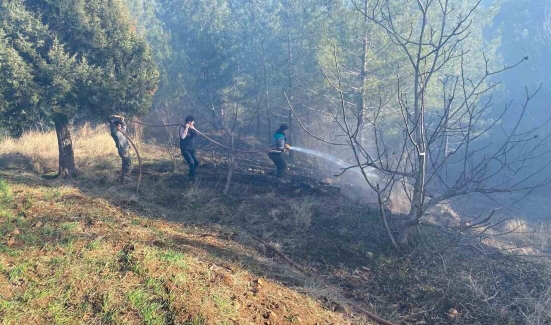 Adana’nın Aladağ ilçesinde ormanlık alanda çıkan yangın kontrol altına alındı.