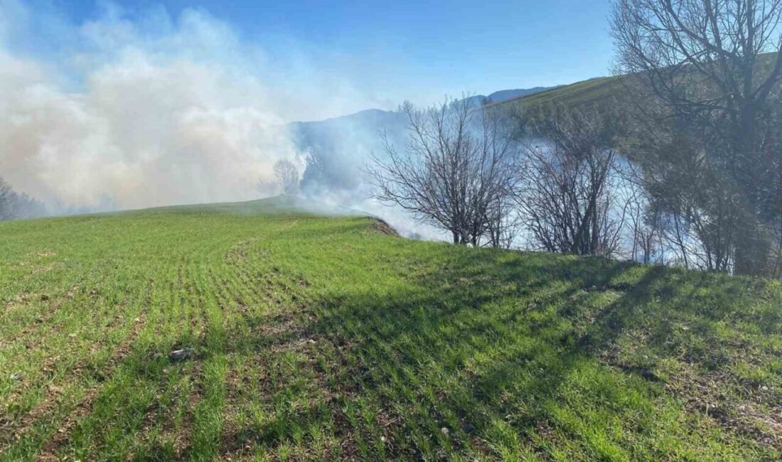 Adana’nın Aladağ ilçesinde ormanlık alanda yangın çıktı. Yangını kontrol altına