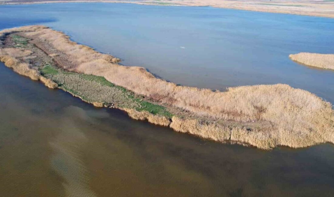 Adana’nın Karataş ilçesindeki Akyatan Lagünü içerisinde bulunan ’Nergis Adası’ yok