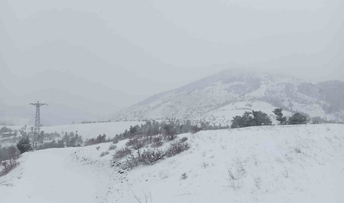 Adana’nın yüksek kesimlerindeki Tufanbeyli ve Saimbeyli ilçelerinde kar yağışı etkili