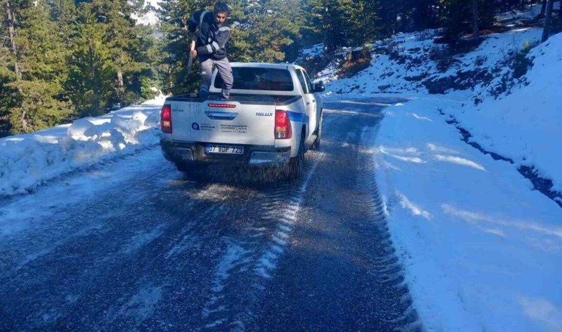 Antalya Büyükşehir Belediyesi Kırsal Hizmetler Dairesi Başkanlığı Alanya ekipleri, ilçenin