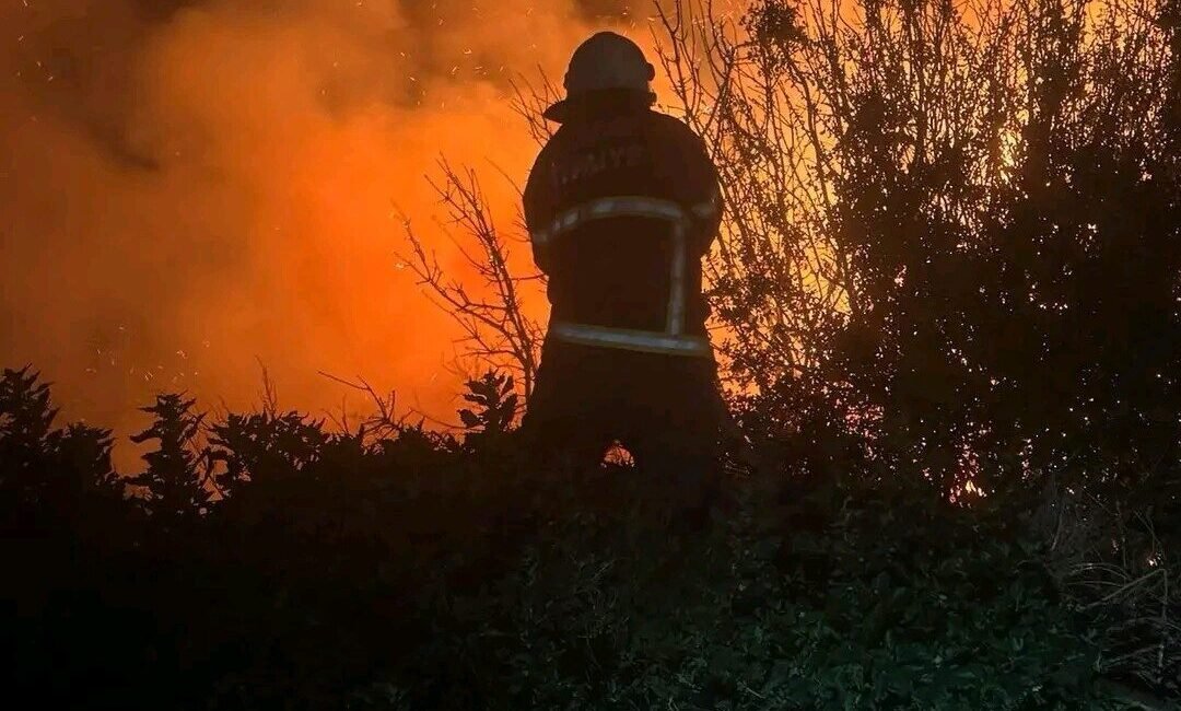 Hatay’ın Arsuz ilçesinde kamışlık alanda çıkan yangın itfaiye ekiplerinin müdahalesiyle