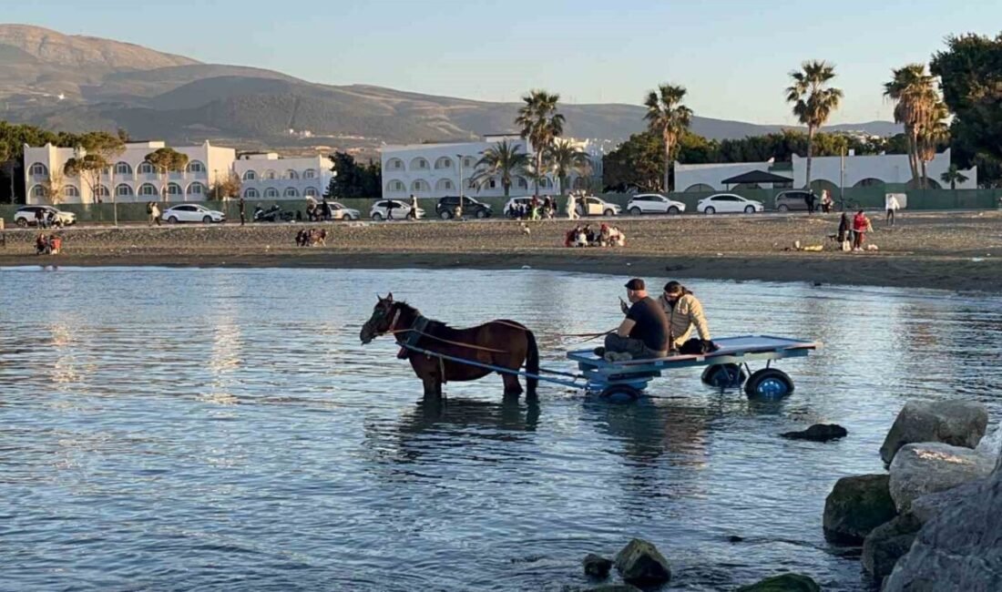 Hatay’da güneşli havanın tadını çıkarmak isteyen 2 kafadar, at arabasıyla