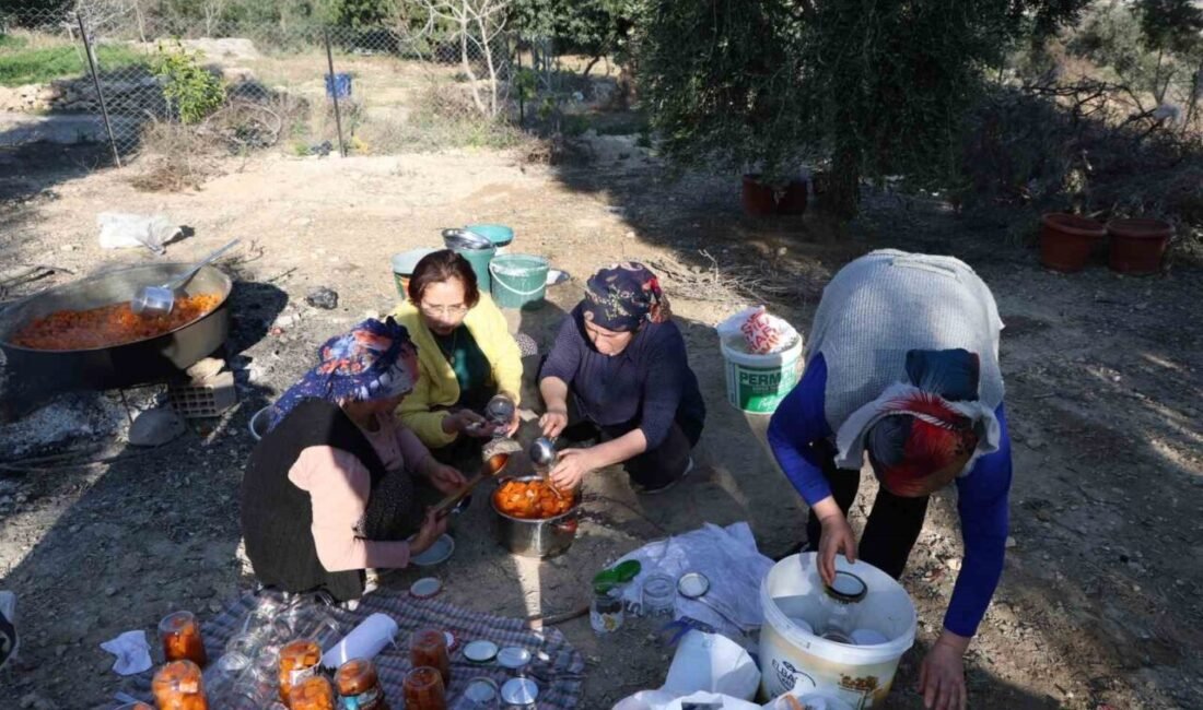 Adana’nın Kozan ilçesinde kadınlar, bahçede imece usulü kazanlarda kabak tatlısı