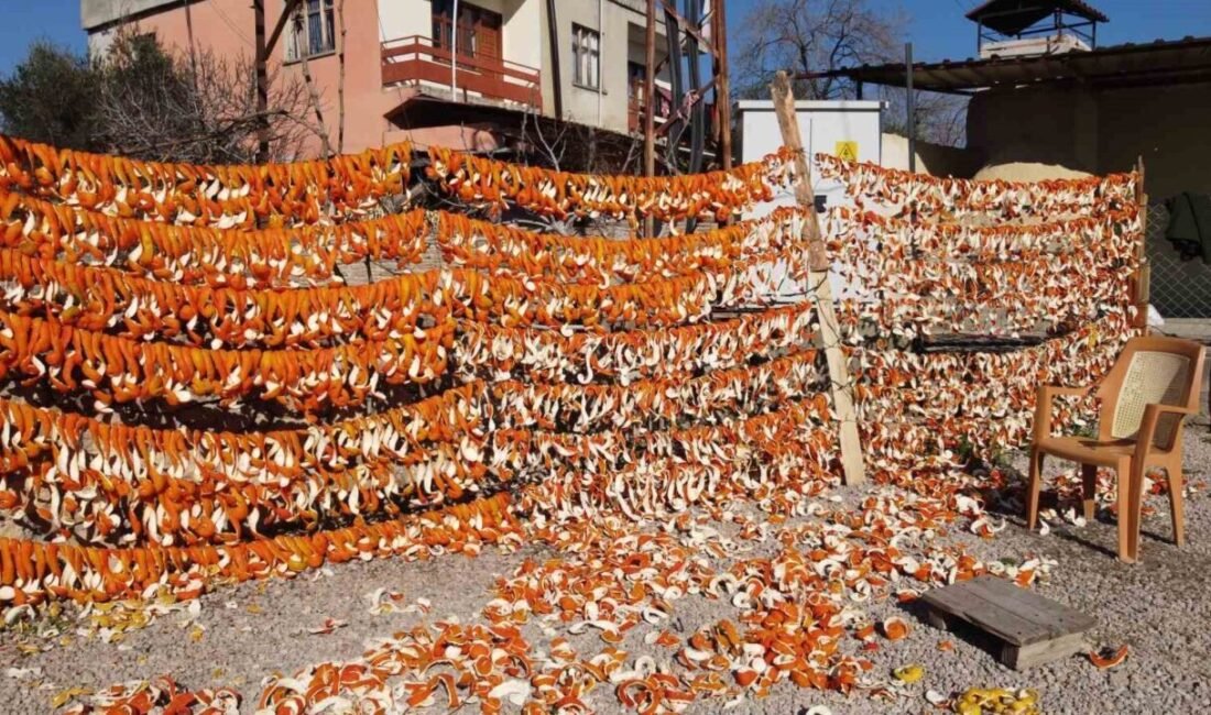Narenciyenin başkenti Adana’da meyvenin yanı sıra çiftçi, portakal, mandalina ve