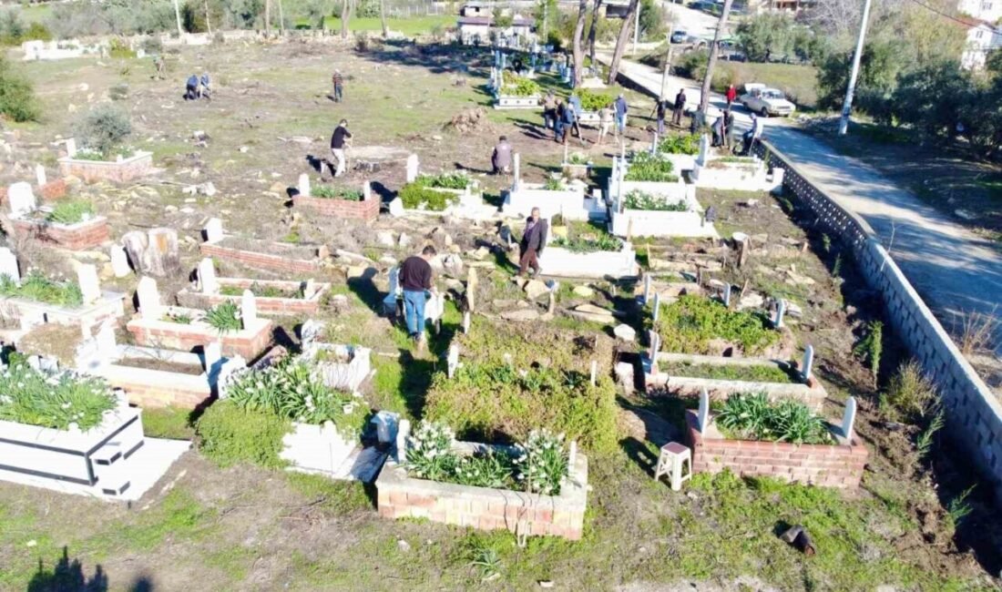 Büyük Manavgat yangınında içerisindeki ağaçlar tamamen yanan Aksaz Mezarlığı yeniden