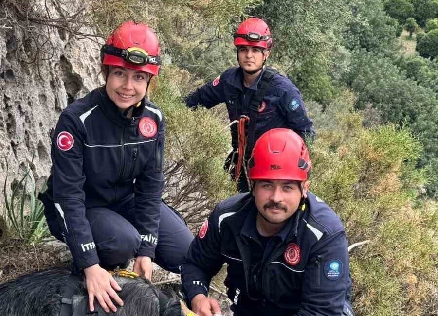 Antalya Büyükşehir Belediyesi Demre İtfaiye ekipleri, iki farklı noktada mahsur