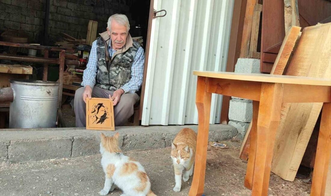 Kahramanmaraş’ta bir esnaf depremden sonra soğukta ölmek üzere olan kedilere