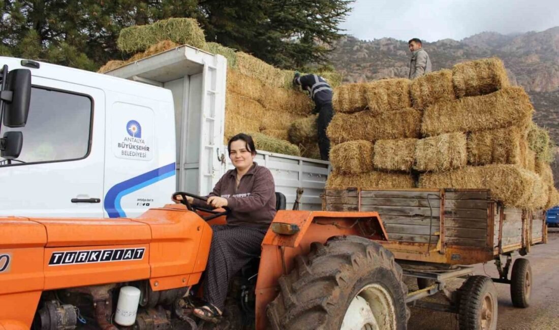 Antalya Büyükşehir Belediyesi, Elmalı’nın Yuva Mahallesi’nde yaşanan sel afetinden zarar