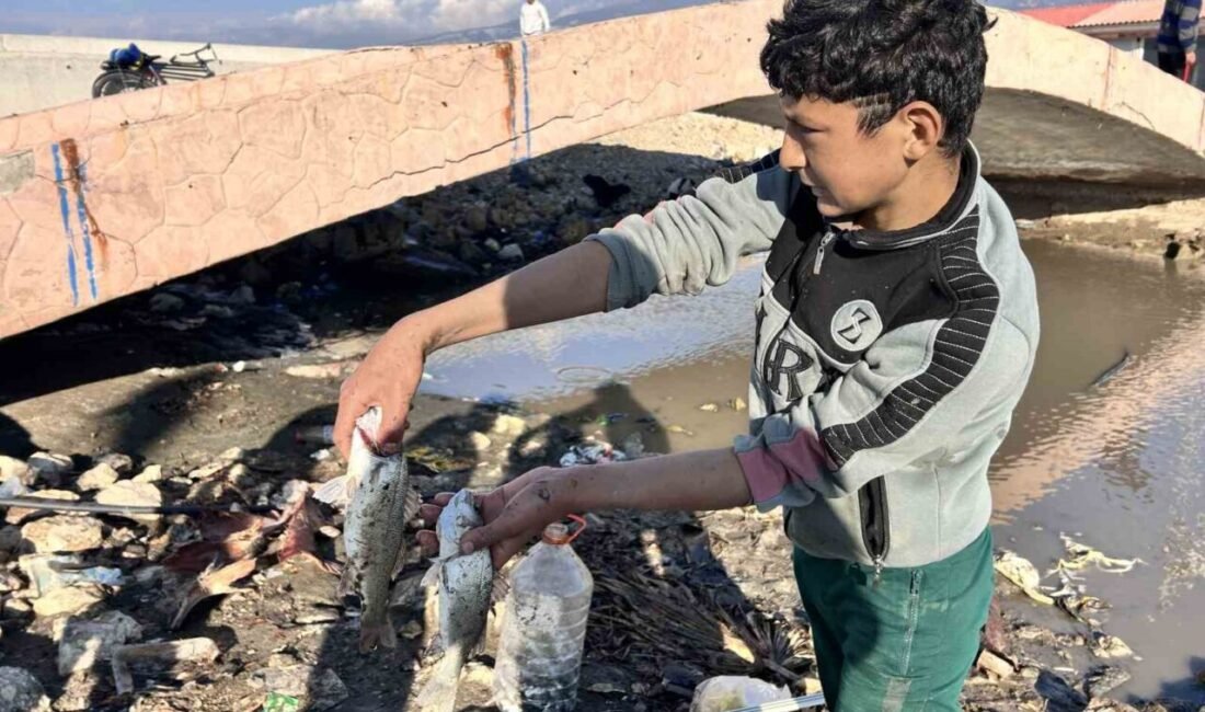 Hatay’da bir grup çocuk, evden getirdikleri perdeyle kanalda mahsur kalan