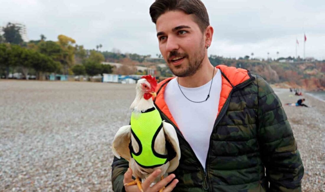 Antalya SUP board (kürek sörfü) yapan bir genç, falezlerden denize