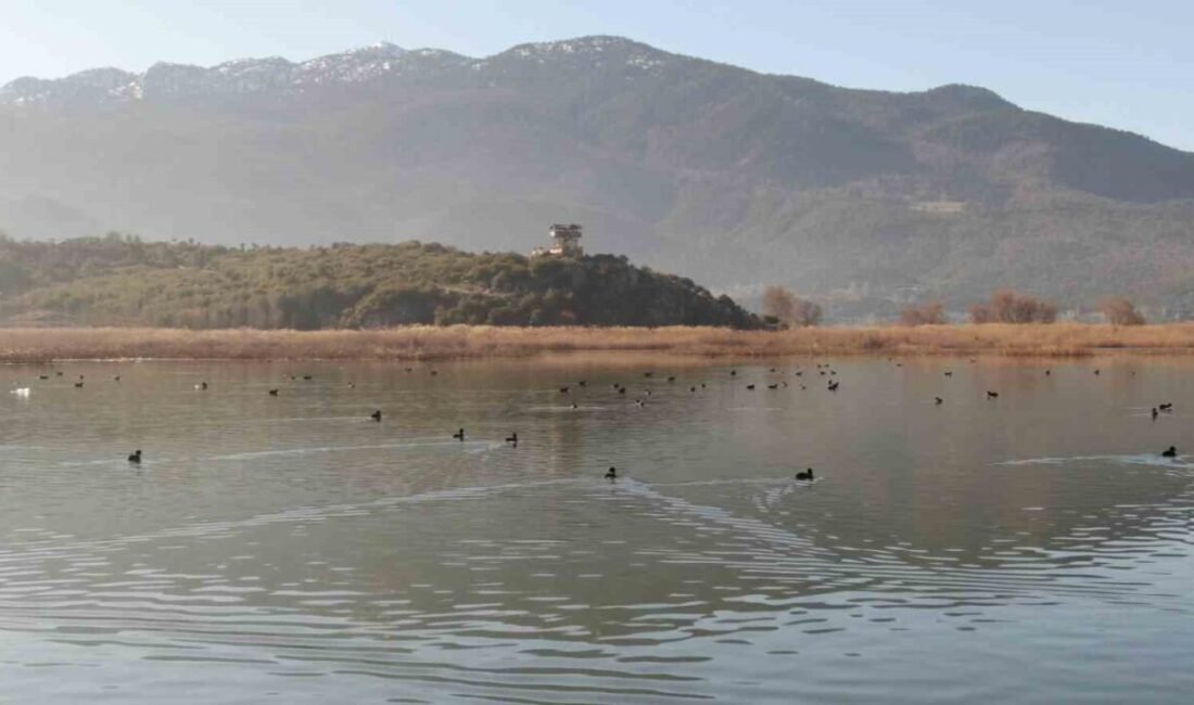 Doğa Koruma ve Milli Parklar (DKMP) Genel Müdürlüğü tarafından her