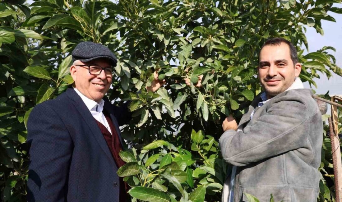 Adana’nın Kozan ilçesinde Hukuk Profesörü Mustafa Topaloğlu ve doktor oğlu