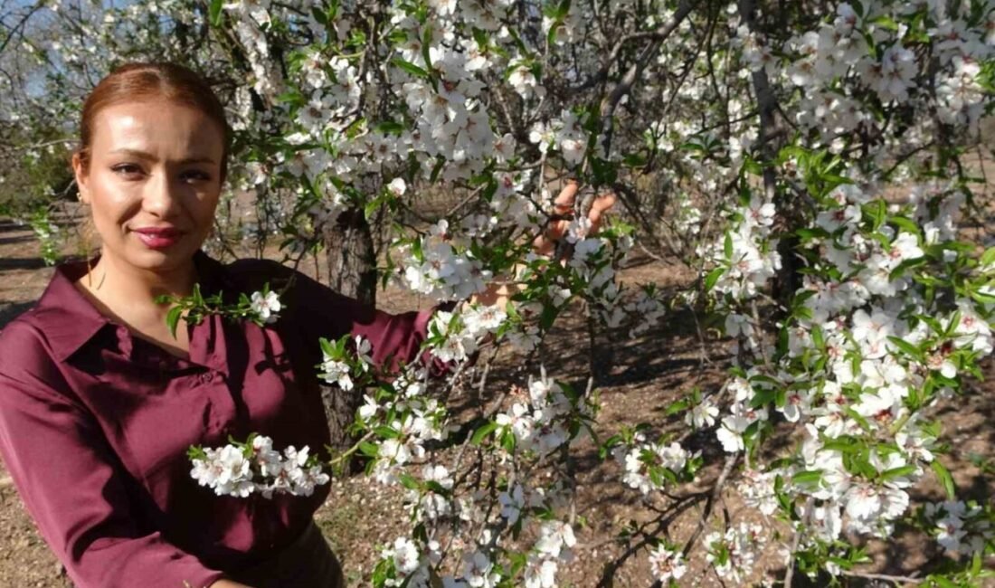 Mersin’de mevsim normalleri üzerine seyreden sıcak ve güneşli havayla birlikte