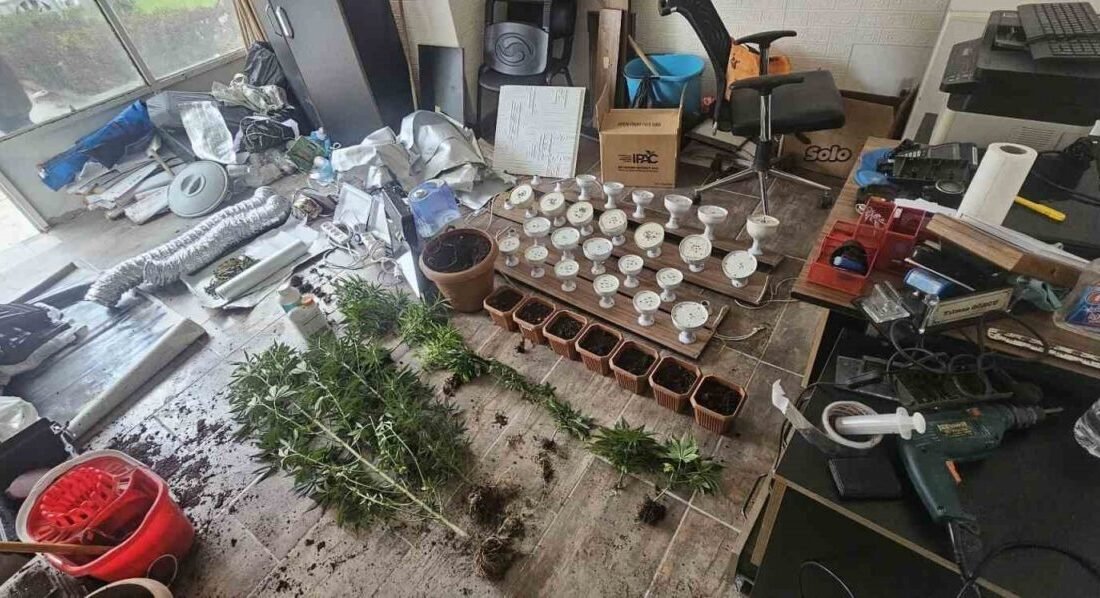 Adana’da iş yerinde esrar yetiştiren şüpheli polisin takibi sonucu yakalandı.