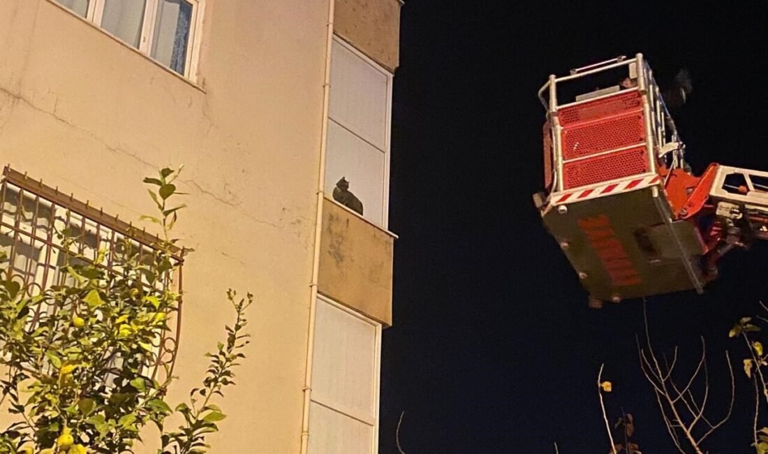 Hatay’ın İskenderun ilçesinde balkonda mahsur kalan kediyi itfaiye ekipleri kurtardı.