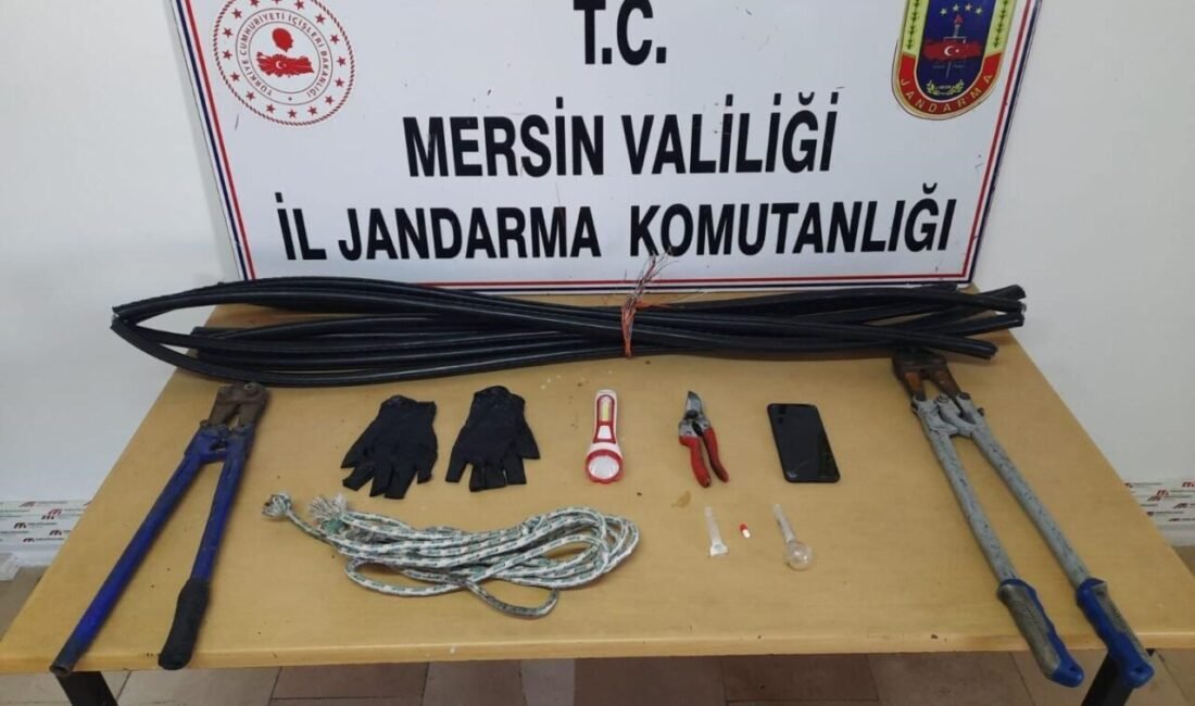 Mersin’in Silifke ilçesinde kablo hırsızlığı yaparken jandarma ekiplerine suçüstü yakalanan