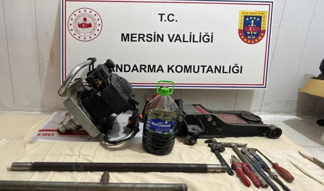 Mersin’in Erdemli ilçesinde tarihi eser bulmak amacıyla kaçak kazı yapan