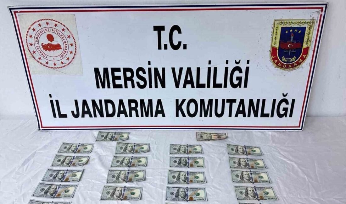 Mersin’in Tarsus ilçesinde 21’i 100, 1 tanesi 50 dolar olan