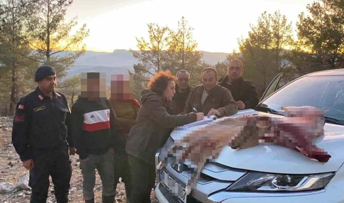 Mersin’in Mut ilçesinde yaban keçisi avlayan 2 kişiye 673 bin